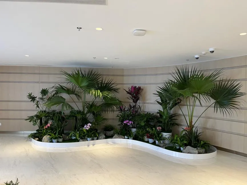 想拥有美绿植？宁波奉化植物出租服务超靠谱！